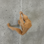 Climbing Toward Dreams